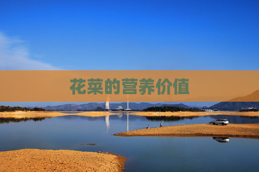 花菜的营养价值