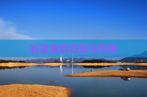 石菖蒲的功效与作用