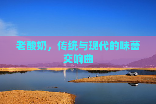 老酸奶，传统与现代的味蕾交响曲