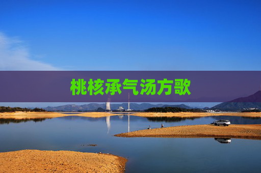 桃核承气汤方歌