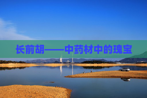 长前胡——中药材中的瑰宝