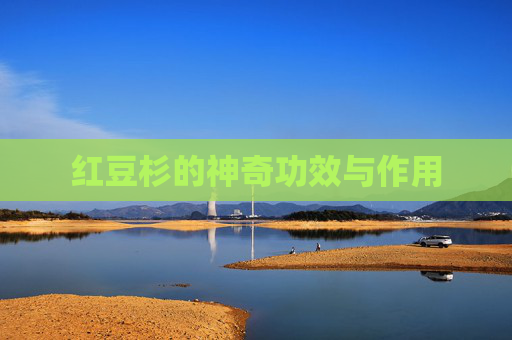 红豆杉的神奇功效与作用 红豆杉的神奇功效与作用