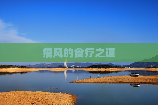 痛风的食疗之道