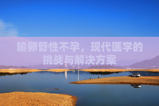 输卵管性不孕,现代医学的挑战与解决方案 输卵管性不孕,现代医学的挑战与解决方案