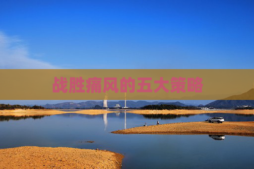战胜痛风的五大策略