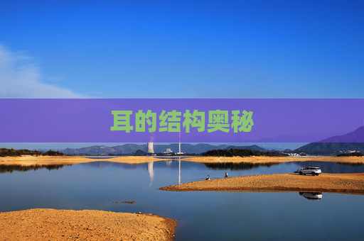耳的结构奥秘 耳的结构奥秘