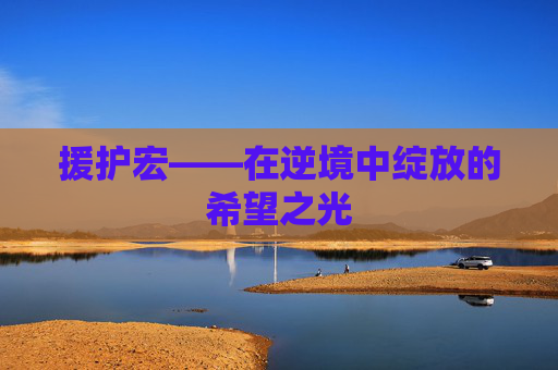 援护宏——在逆境中绽放的希望之光