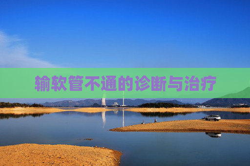 输软管不通的诊断与治疗