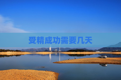 受精成功需要几天