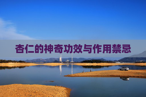 杏仁的神奇功效与作用禁忌