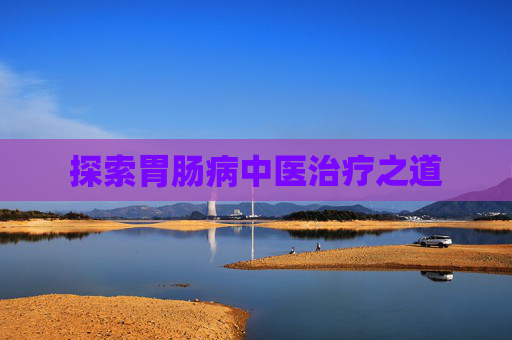 探索胃肠病中医治疗之道