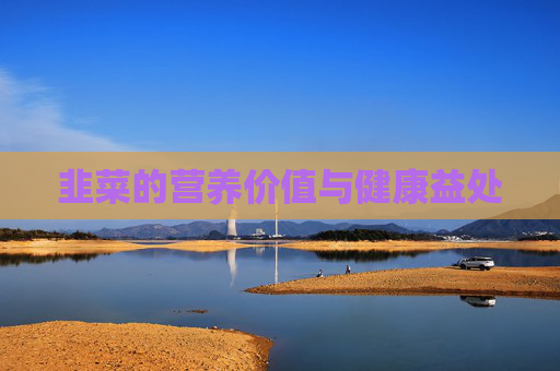 韭菜的营养价值与健康益处
