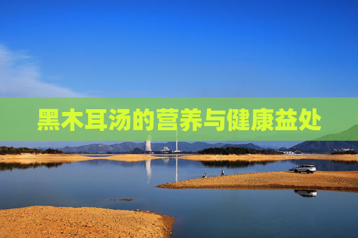 黑木耳汤的营养与健康益处