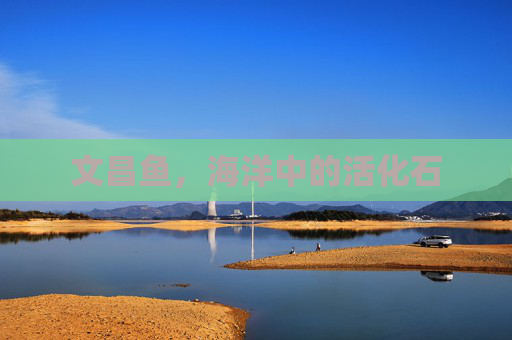 文昌鱼,海洋中的活化石 文昌鱼,海洋中的活化石