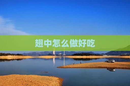 翅中怎么做好吃