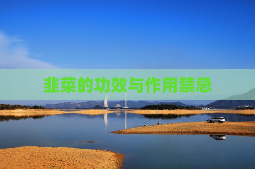 韭菜的功效与作用禁忌