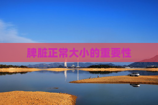 脾脏正常大小的重要性