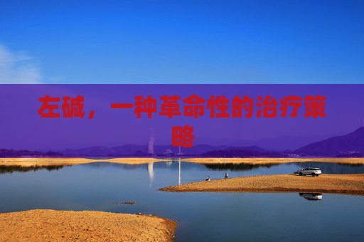 左碱，一种革命性的治疗策略