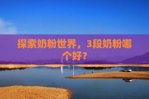 探索奶粉世界，3段奶粉哪个好？