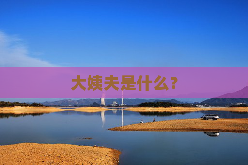 大姨夫是什么? 大姨夫是什么?