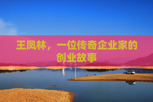 王凤林，一位传奇企业家的创业故事