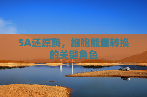5A还原酶，细胞能量转换的关键角色