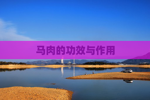 马肉的功效与作用