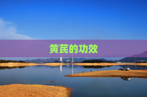 黄芪的功效