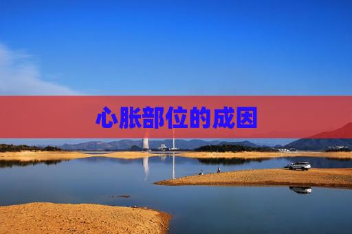 心胀部位的成因