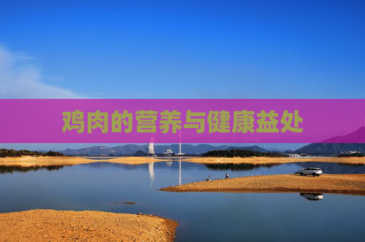 鸡肉的营养与健康益处