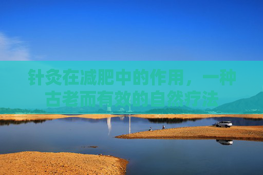 针灸在减肥中的作用，一种古老而有效的自然疗法