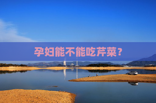 孕妇能不能吃芹菜? 孕妇能不能吃芹菜?