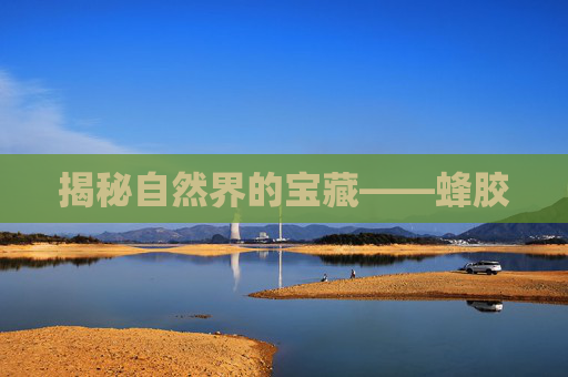 揭秘自然界的宝藏——蜂胶