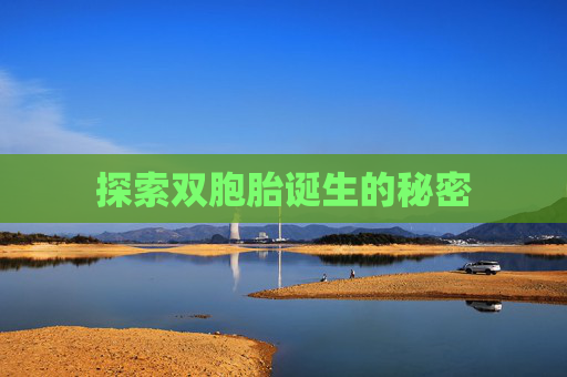 探索双胞胎诞生的秘密