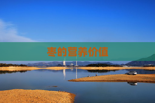 枣的营养价值