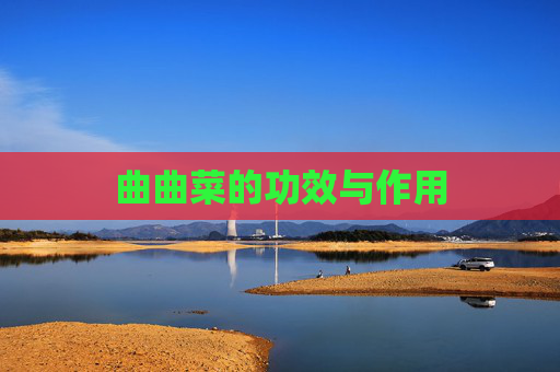 曲曲菜的功效与作用 曲曲菜的功效与作用
