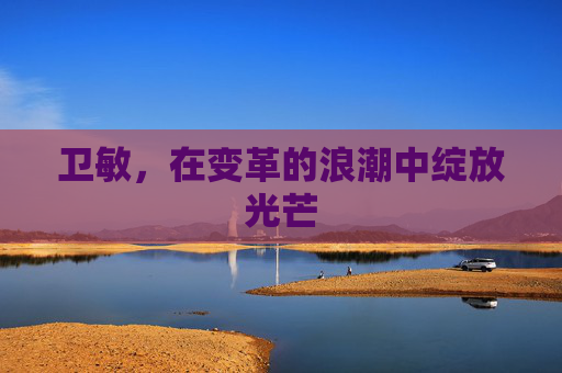 卫敏，在变革的浪潮中绽放光芒