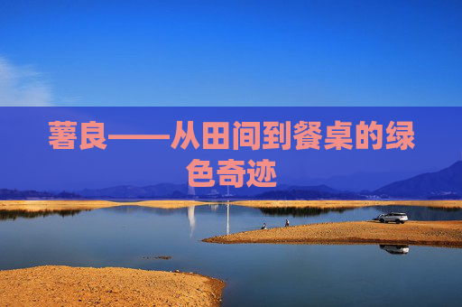 薯良——从田间到餐桌的绿色奇迹
