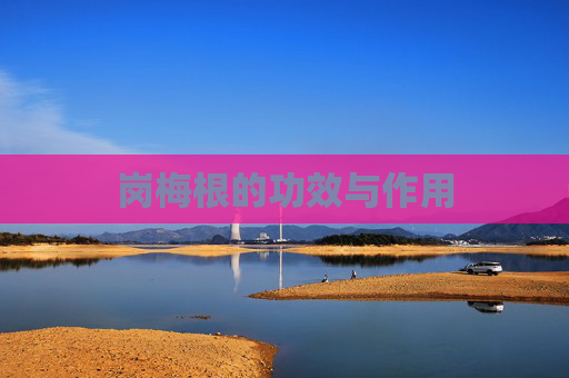 岗梅根的功效与作用 岗梅根的功效与作用
