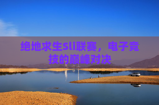 绝地求生Sli联赛，电子竞技的巅峰对决
