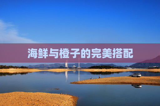 海鲜与橙子的完美搭配