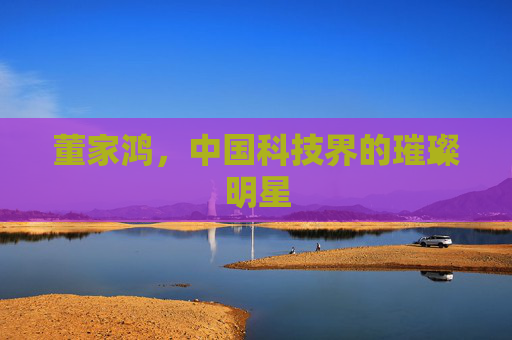 董家鸿，中国科技界的璀璨明星