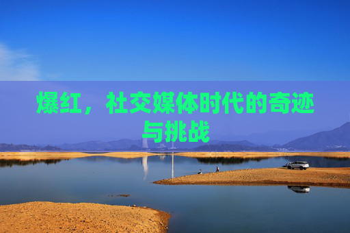 爆红，社交媒体时代的奇迹与挑战