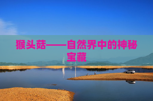 猴头菇——自然界中的神秘宝藏