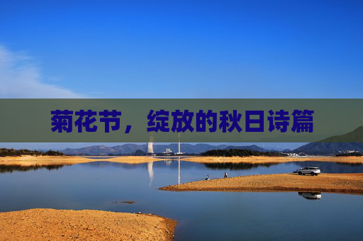 菊花节，绽放的秋日诗篇