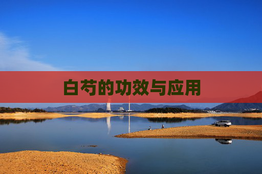 白芍的功效与应用 白芍的功效与应用