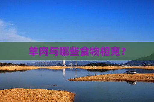 羊肉与哪些食物相克? 羊肉与哪些食物相克?