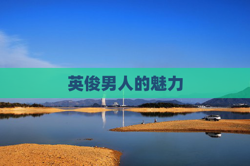 英俊男人的魅力