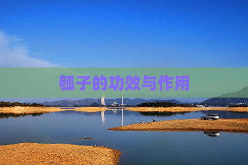 瓠子的功效与作用