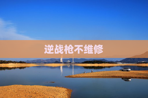 逆战枪不维修